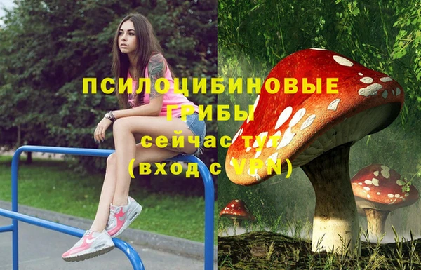 гашиш Абаза