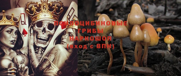 гашиш Абаза