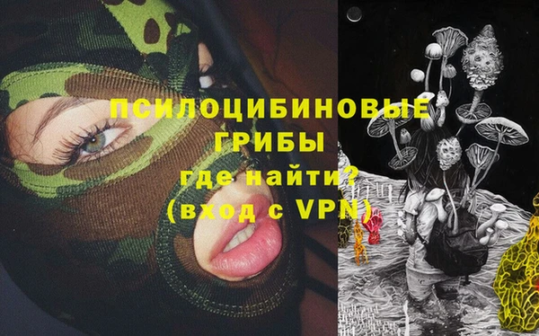 spice Абинск