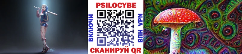как найти закладки  Ленинградская  Псилоцибиновые грибы Psilocybe 